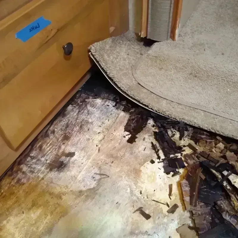 Best Wood Floor Water Damage Service in Douglas, GA